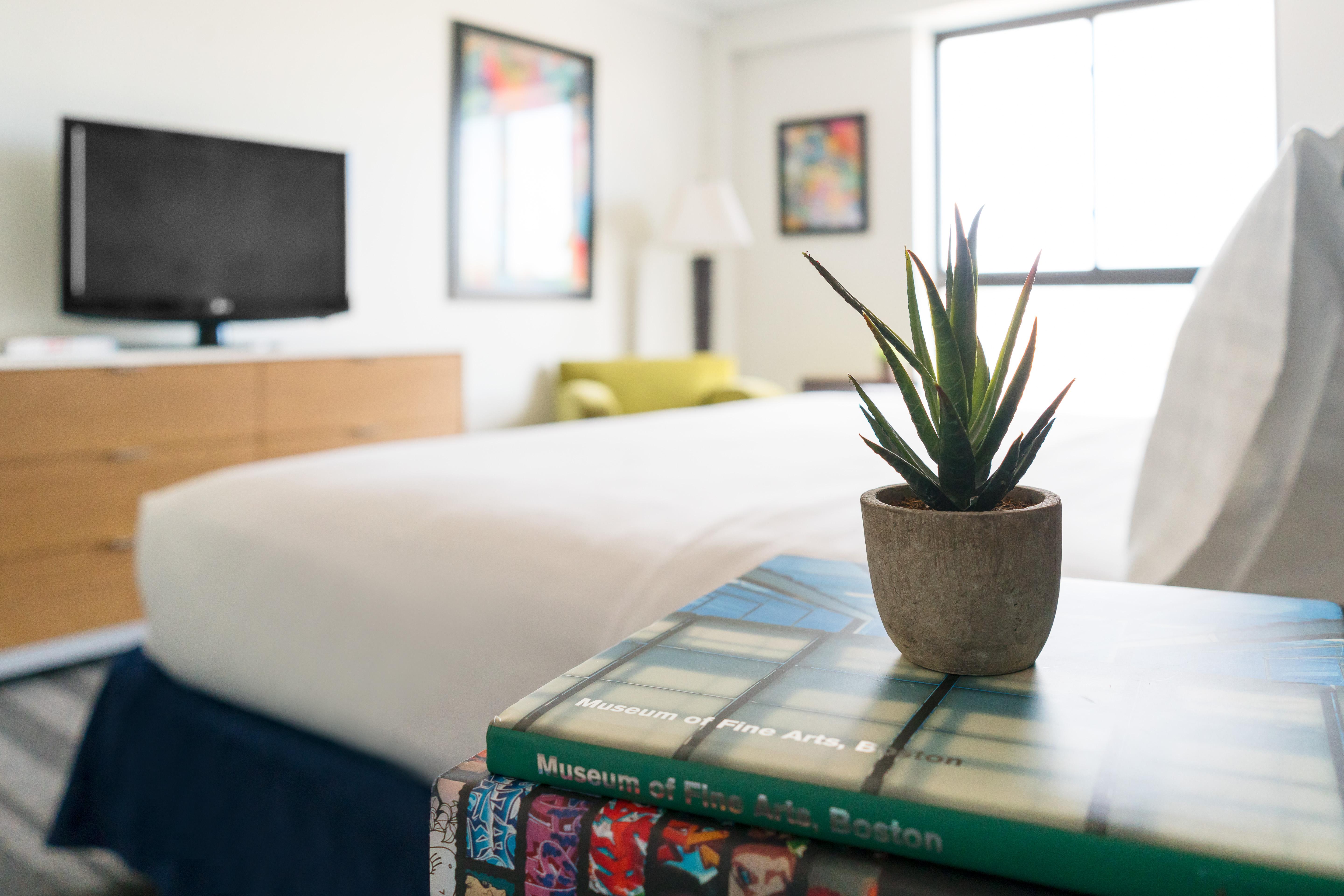 Studio Allston Hotel Boston Luaran gambar